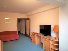 Zimmerbild 26