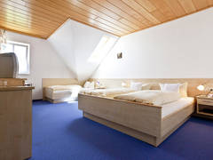 Zimmerbild 2