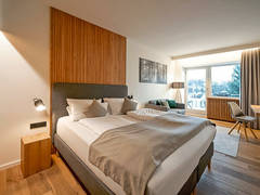 Zimmerbild 8