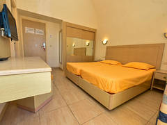 Zimmerbild 41
