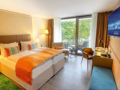 Zimmerbild 4