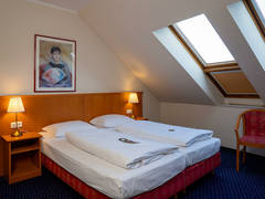 Zimmerbild 26