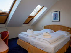 Zimmerbild 6