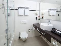 Zimmerbild 8
