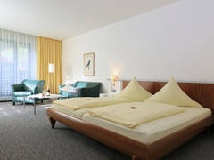 Zimmerbild 1