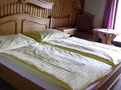 Zimmerbild 8