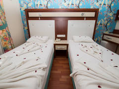 Zimmerbild 22
