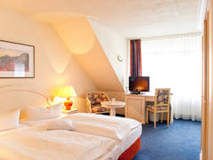 Zimmerbild 1