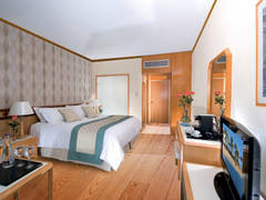 Zimmerbild 6