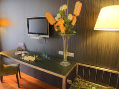 Zimmerbild 8