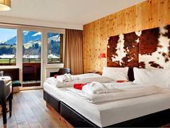 Zimmerbild 12