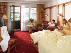 Zimmerbild 3