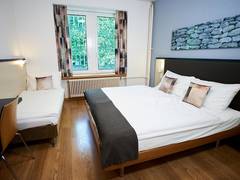 Zimmerbild 8