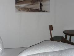 Zimmerbild 11