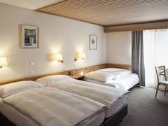 Zimmerbild 22