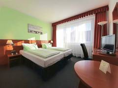 Zimmerbild 17