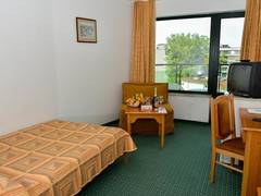 Zimmerbild 27