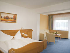 Zimmerbild 6