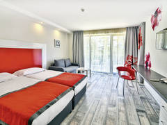Zimmerbild 4