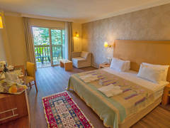 Zimmerbild 7