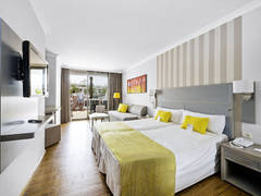 Zimmerbild 6