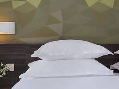 Zimmerbild 22