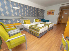 Zimmerbild 8