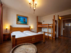 Zimmerbild 12