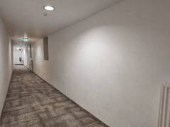 Zimmerbild 8