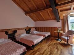 Zimmerbild 6