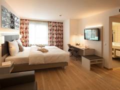 Zimmerbild 1