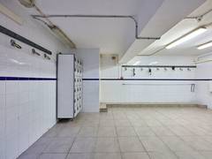 Zimmerbild 5