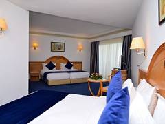 Zimmerbild 1