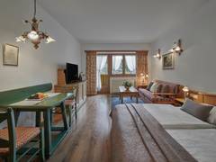 Zimmerbild 3