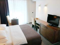 Zimmerbild 5