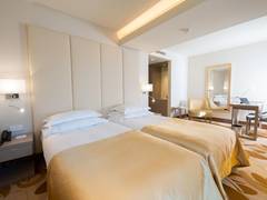 Zimmerbild 8
