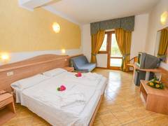 Zimmerbild 1