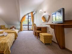 Zimmerbild 1