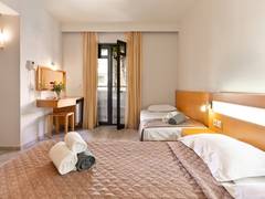 Zimmerbild 8