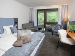 Zimmerbild 12