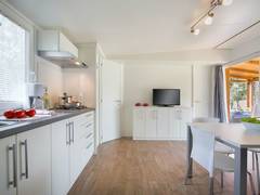 Zimmerbild 5