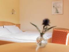 Zimmerbild 7