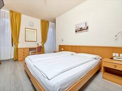 Zimmerbild 5