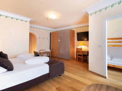 Zimmerbild 7