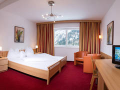 Zimmerbild 6
