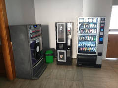 Zimmerbild 9