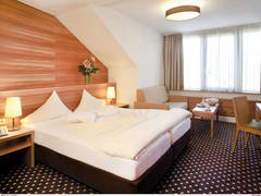 Zimmerbild 8