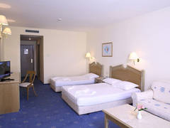 Zimmerbild 5