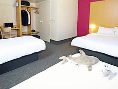 Zimmerbild 11