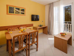 Zimmerbild 9